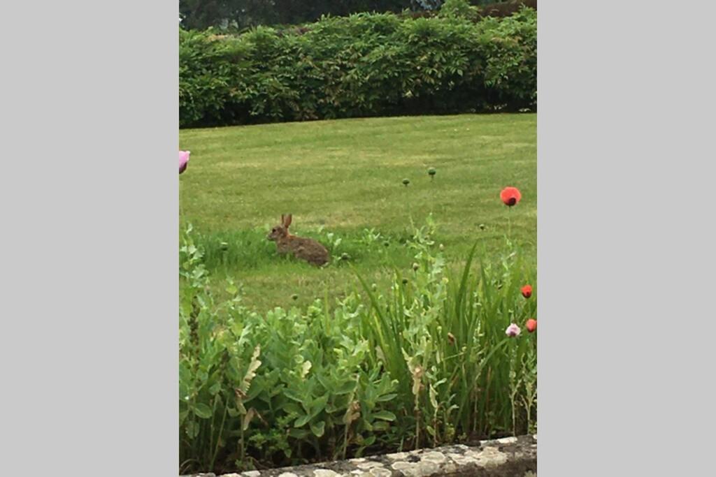 Stay On The Grounds Of This Beautiful Manor House Wimborne Minster Eksteriør bilde