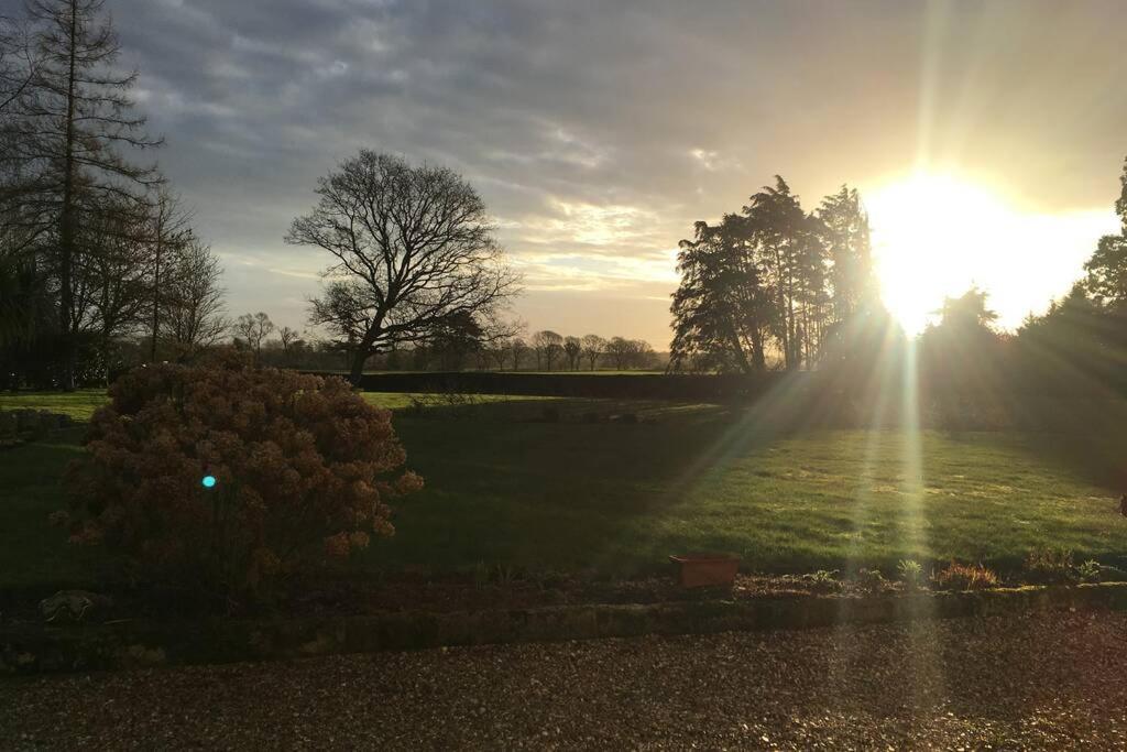 Stay On The Grounds Of This Beautiful Manor House Wimborne Minster Eksteriør bilde